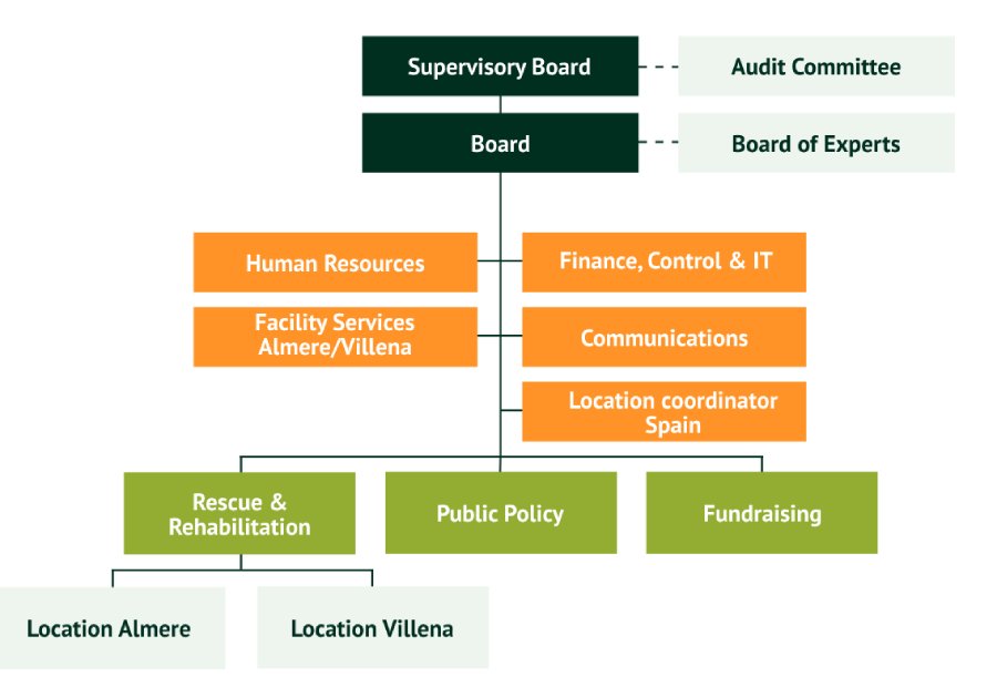Organizational chart