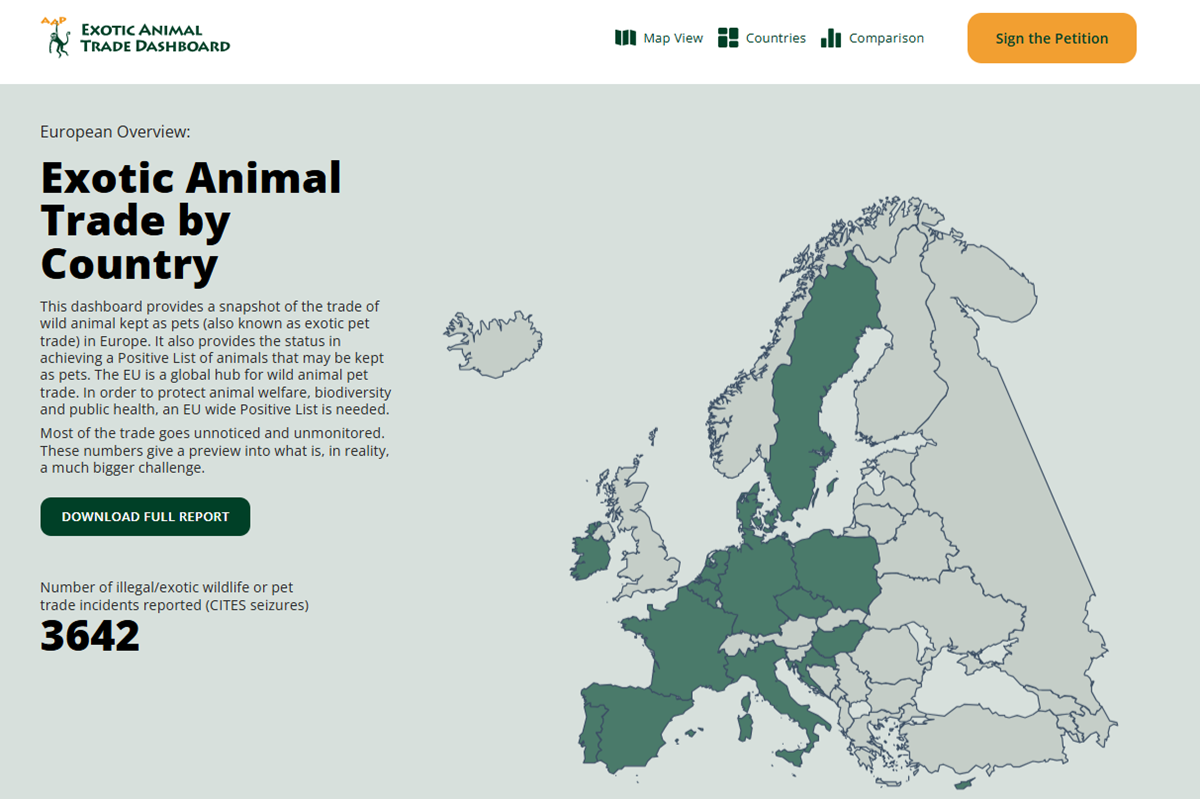 screenshot dashboard