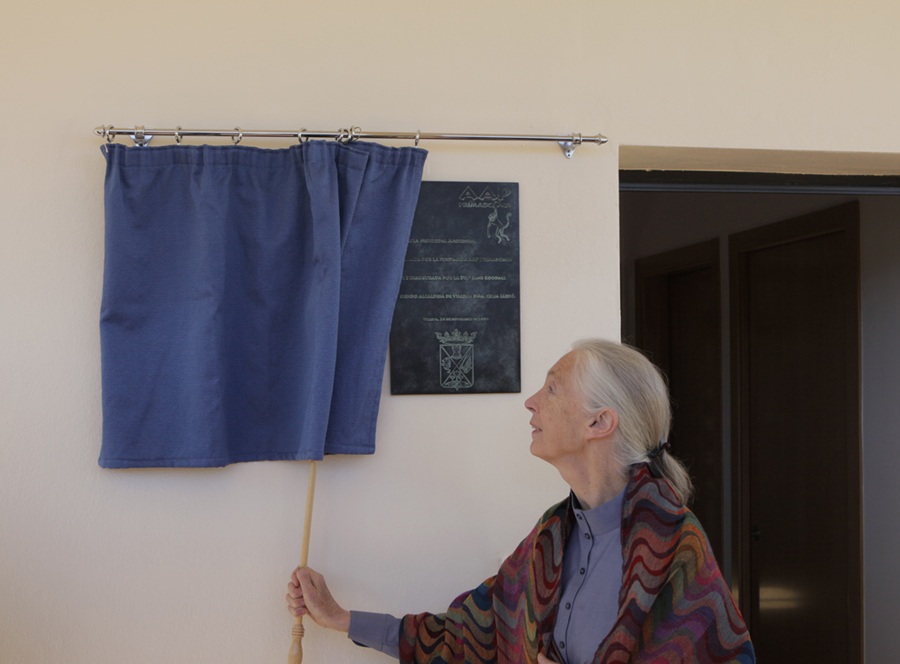 Women draws a curtain away from a plaque.