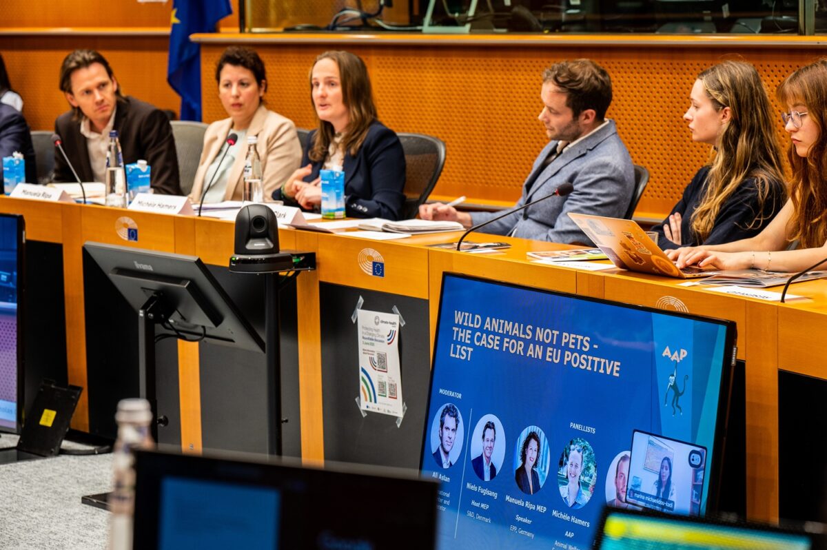 People presenting behind a desk