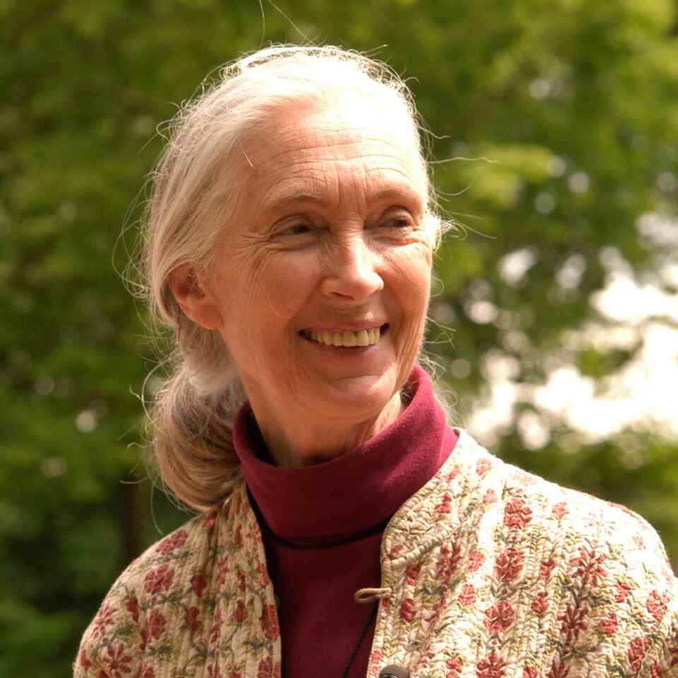 Woman looking in the camera