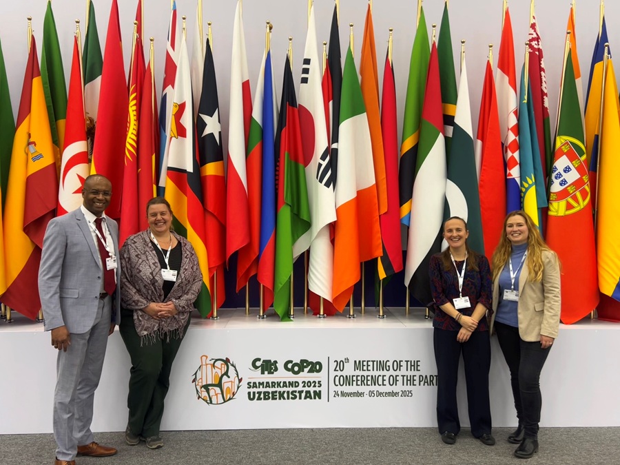 Four people standing in front of flags.
