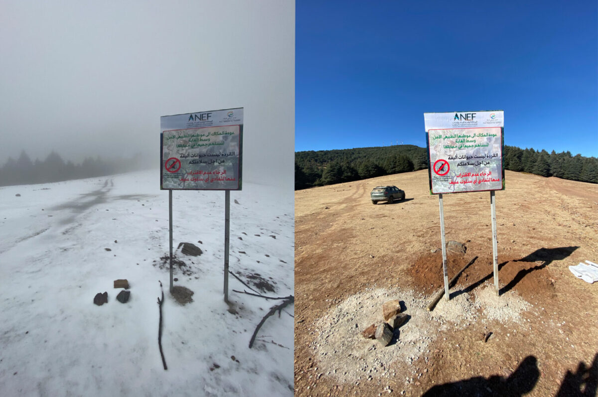 Two photos of a sign in normal weather conditions and after snow fall.