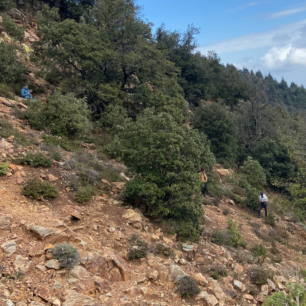 People on a mountain slope.