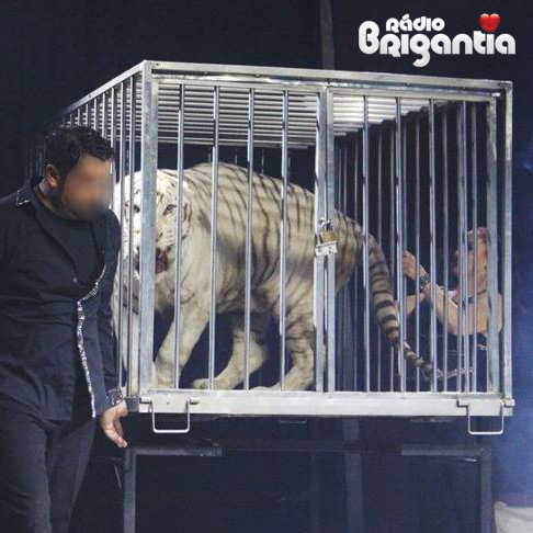 A white tiger in a cage with a man next to it,